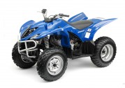 Yamaha Wolverine 350 Yamaha Wolverine 350